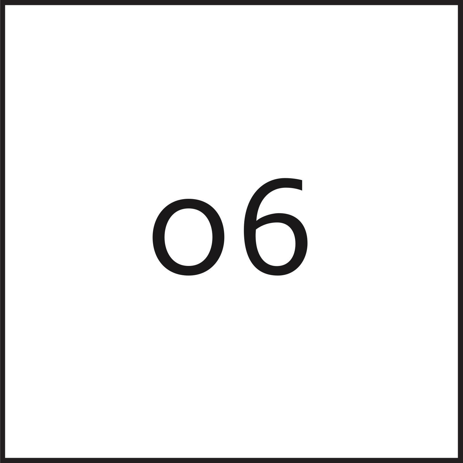 06